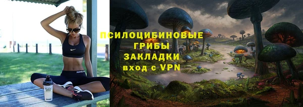 mdpv Алзамай