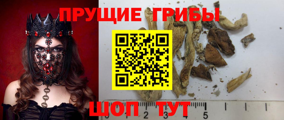 Спасск-Дальний  Галлюциногенные грибы Cubensis  Вход с VPN  цена   Галлюциногенные грибы ЛСД 